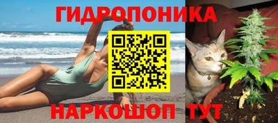 стаф Тулун