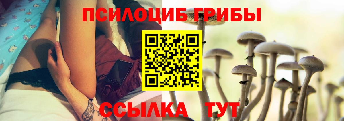 Галлюциногенные грибы Psilocybe Ялта